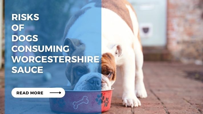 Risks of Dogs Consuming Worcestershire Sauce