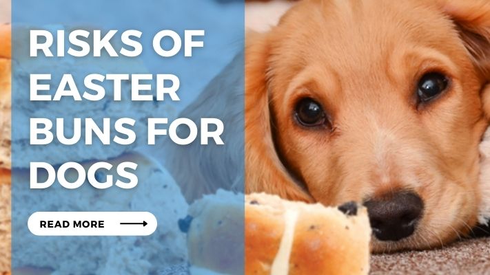Risks of Easter Buns for Dogs