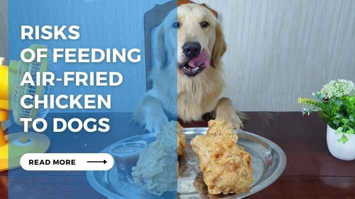 Risks of Feeding Air-Fried Chicken to Dogs