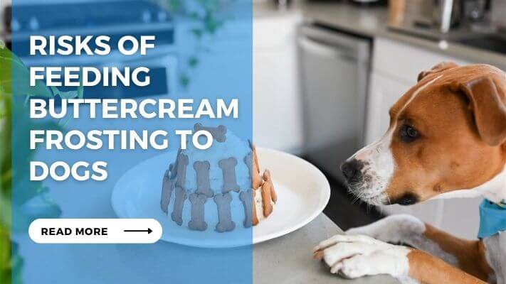 Risks of Feeding Buttercream Frosting to Dogs