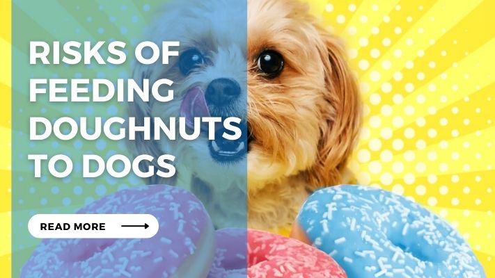 Risks of Feeding Doughnuts  to Dogs