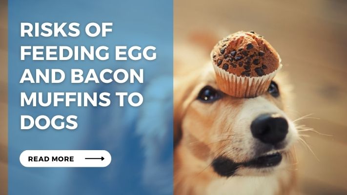 Risks of Feeding Egg and Bacon Muffins to Dogs