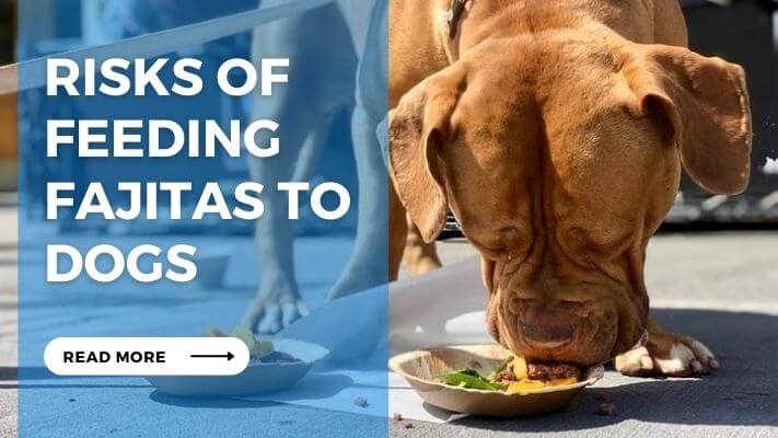 Risks of Feeding Fajitas to Dogs