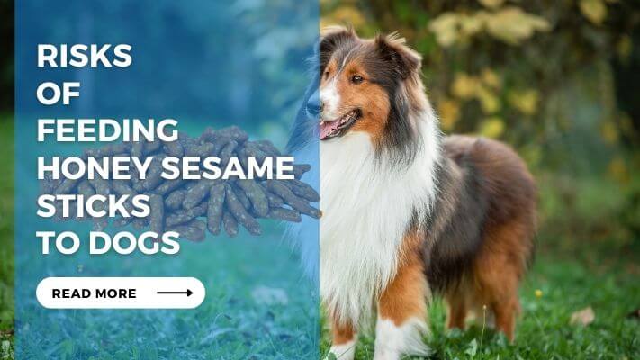 Risks of Feeding Honey Sesame Sticks to Dogs