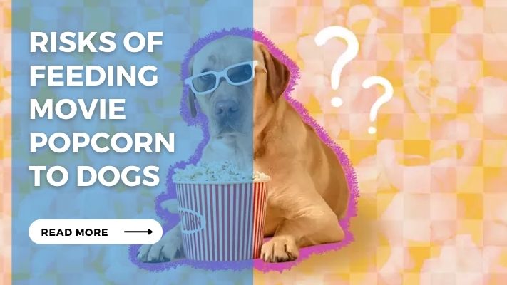 Risks of Feeding  Movie  Popcorn  to Dogs