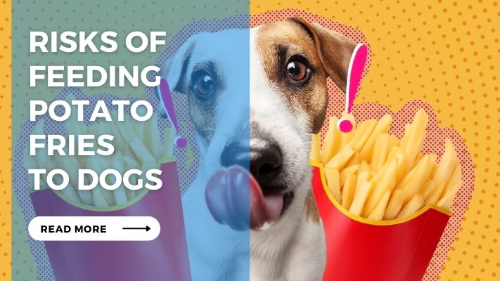 Risks of Feeding Potato Fries to Dogs