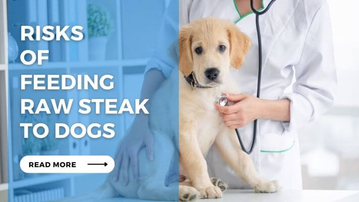 Risks of Feeding Raw Steak to Dogs