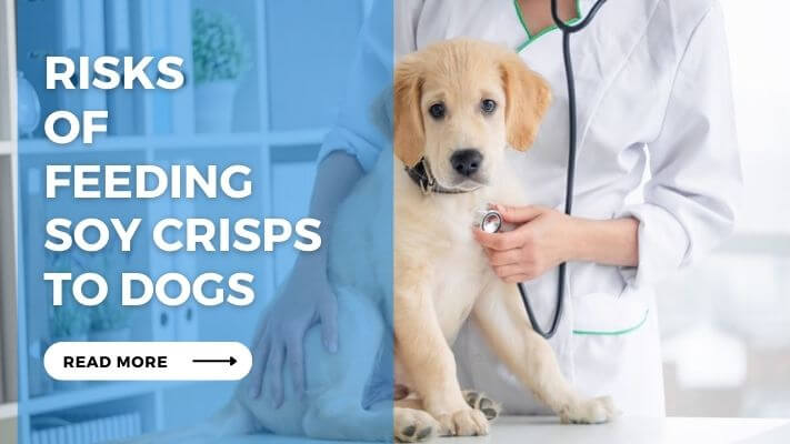 Risks of Feeding Soy Crisps to Dogs