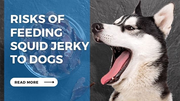 Risks of Feeding  Squid Jerky  to Dogs