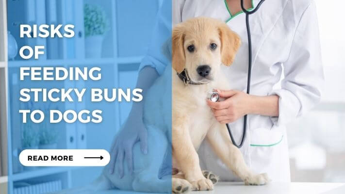 Risks of Feeding Sticky Buns to Dogs