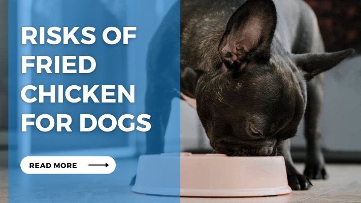 Risks of Fried Chicken for Dogs