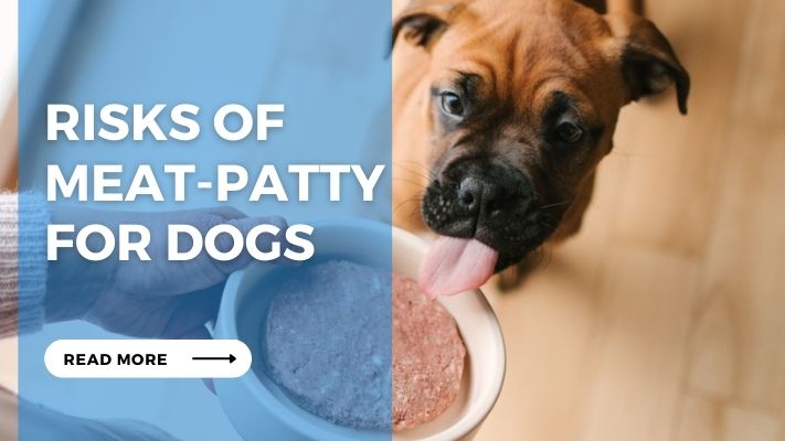 Risks of  Meat-Patty for Dogs