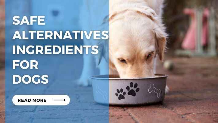 Safe Alternatives Ingredients for Dogs