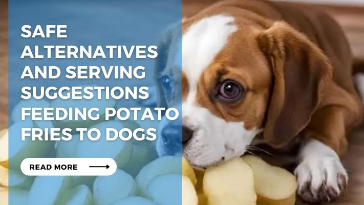 Safe  Alternatives  and Serving Suggestions Feeding Potato Fries to Dogs