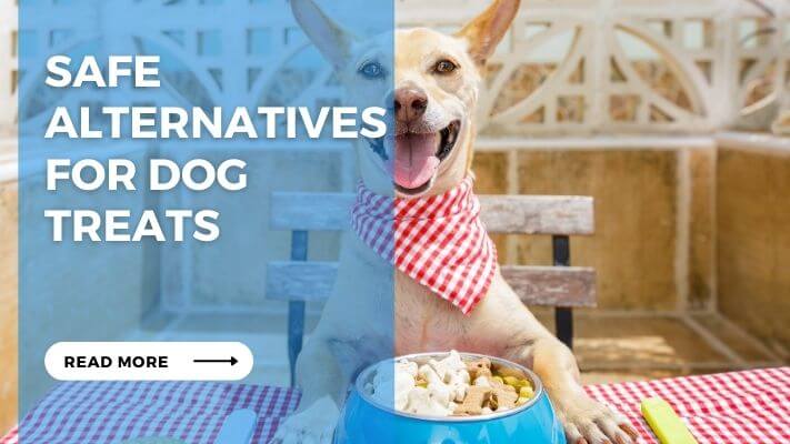 Safe Alternatives for Dog Treats