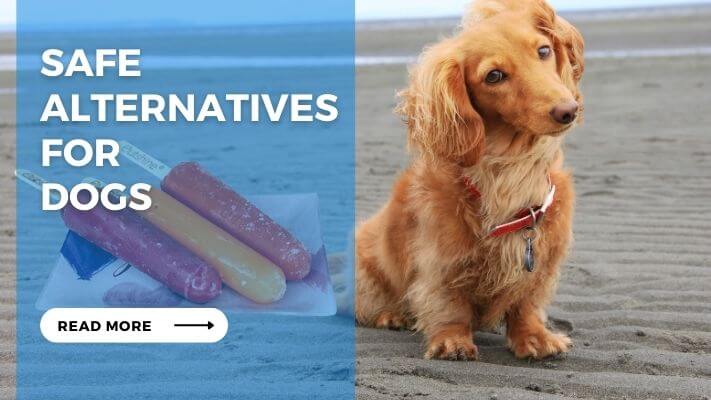 Safe Alternatives for Dogs