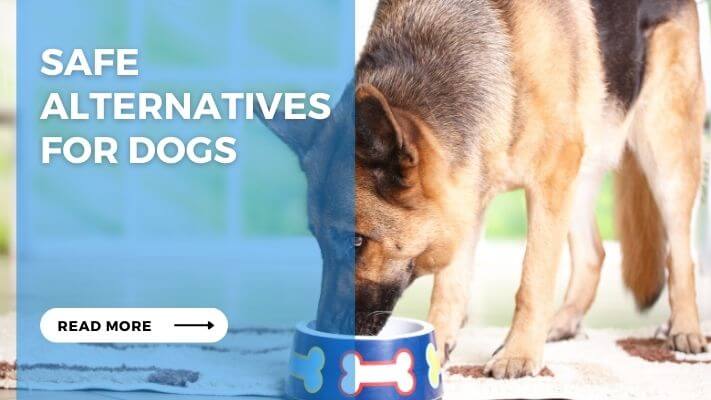 Safe Alternatives for Dogs