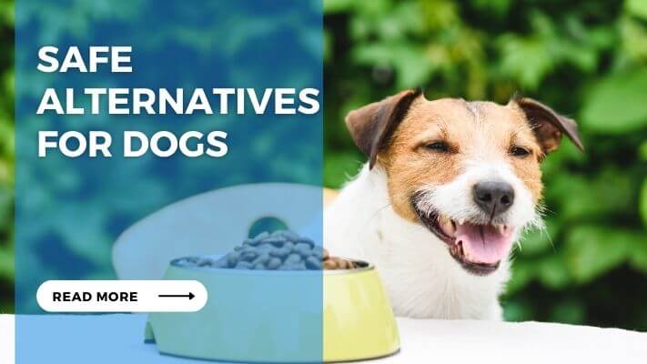 Safe Alternatives for Dogs