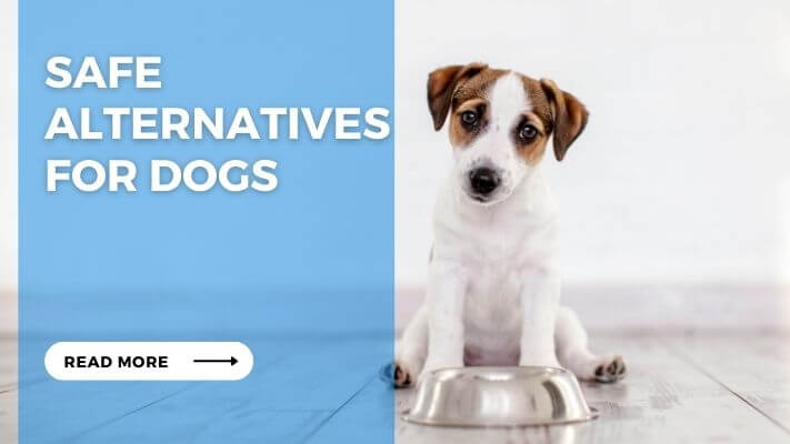 Safe Alternatives for Dogs