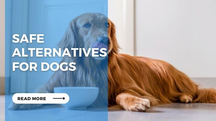 Safe Alternatives for Dogs