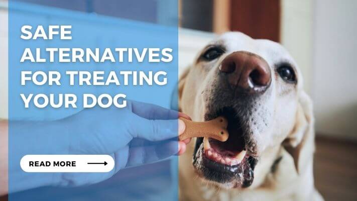 Safe Alternatives for Treating Your Dog