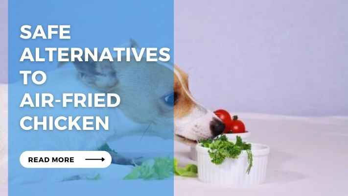 Safe Alternatives to Air-Fried Chicken