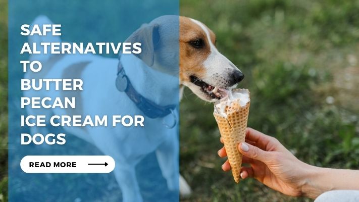 Safe Alternatives to Butter Pecan Ice Cream for Dogs