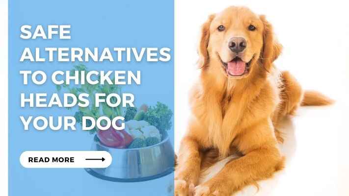 Safe Alternatives to Chicken Heads for Your Dog