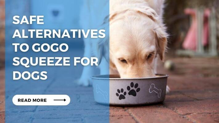 Safe Alternatives to Gogo Squeeze for Dogs