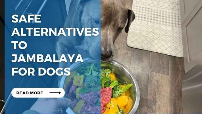 Safe Alternatives to Jambalaya for Dogs