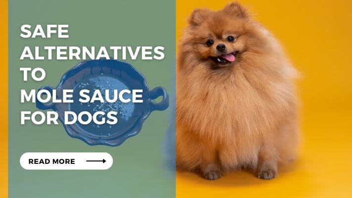 Safe Alternatives to Mole Sauce for Dogs