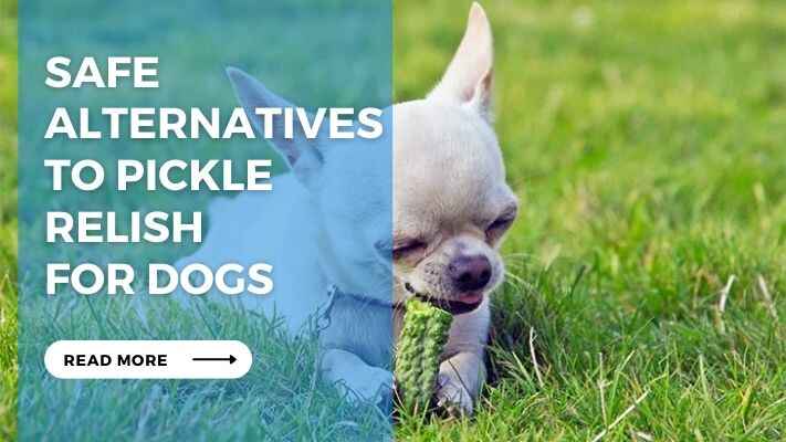 Safe Alternatives to Pickle Relish for Dogs