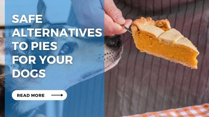 Safe Alternatives to Pies for Your Dogs