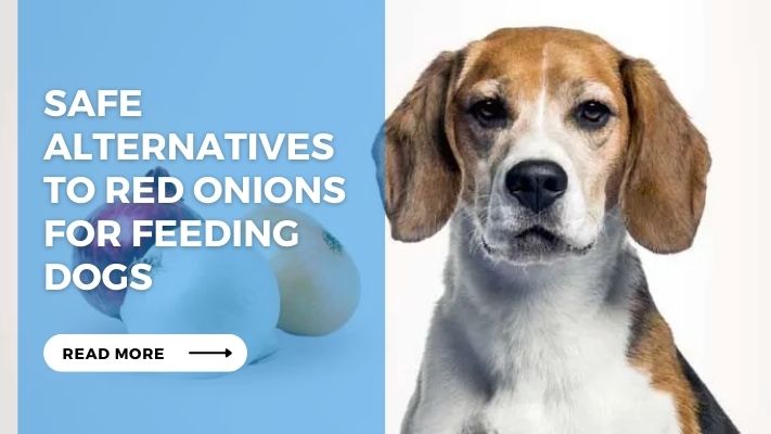 Safe Alternatives to Red Onions for Feeding Dogs