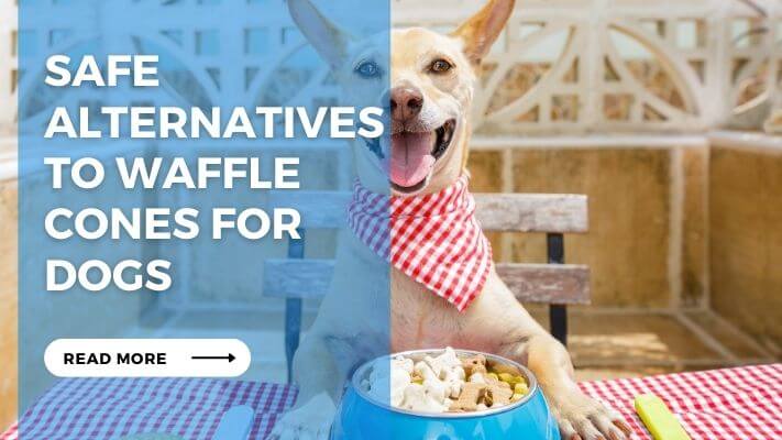 Safe Alternatives to Waffle Cones for Dogs