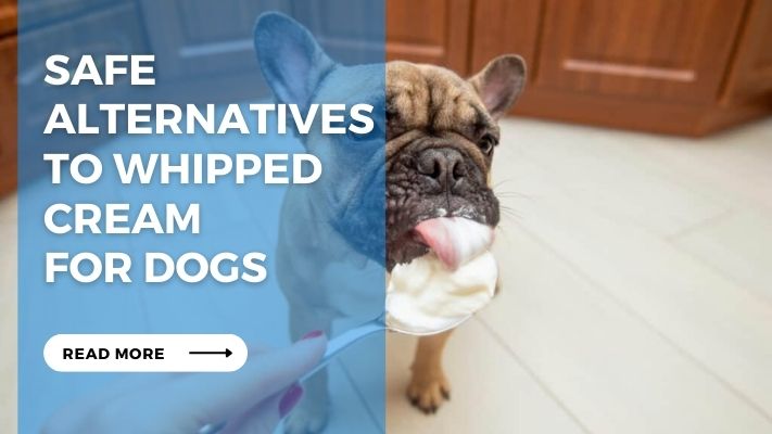 Safe Alternatives to Whipped Cream  for Dogs