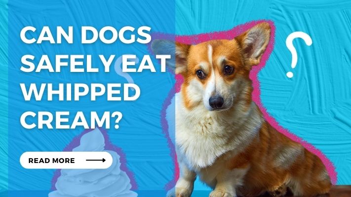 Safe Alternatives to Whipped Cream for Dogs