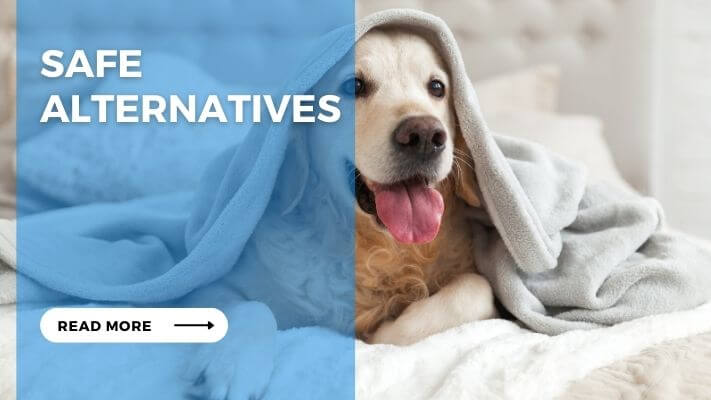 Safe Alternatives