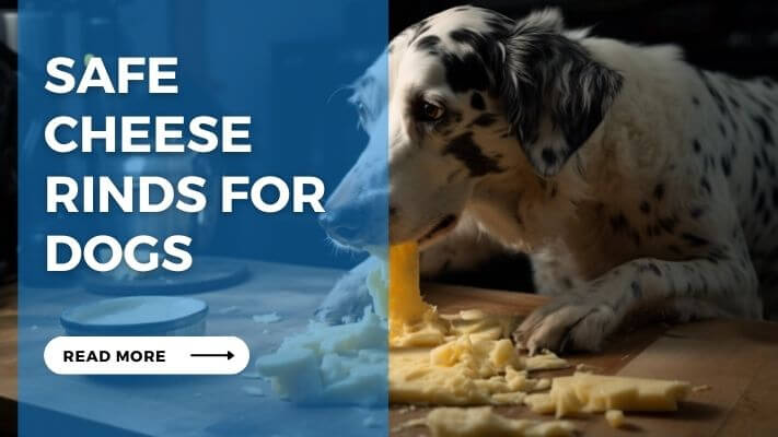 Safe Cheese Rinds for Dogs