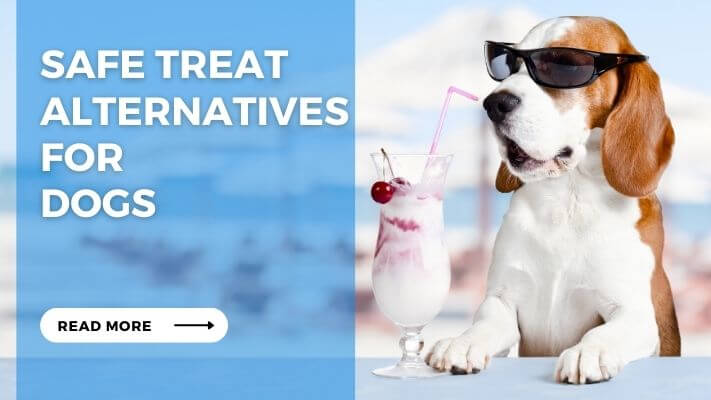 Safe Treat Alternatives for Dogs