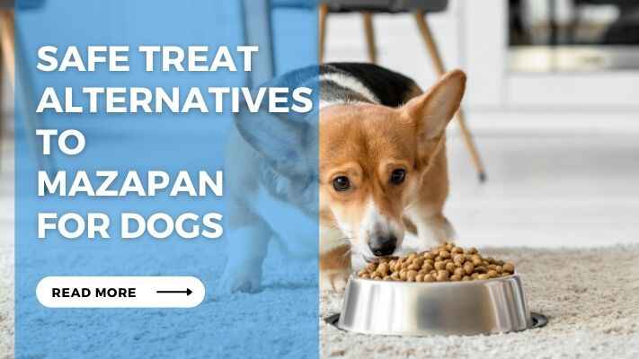 Safe Treat Alternatives to Mazapan for Dogs