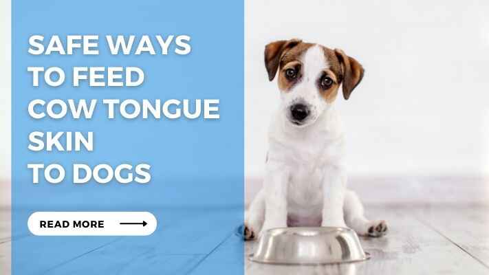 Safe Ways to Feed Cow Tongue Skin to Dogs