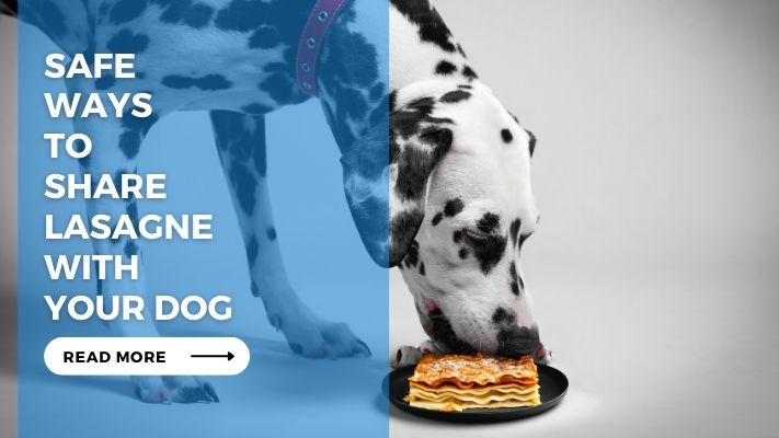 Safe Ways to Share Lasagne with Your Dog