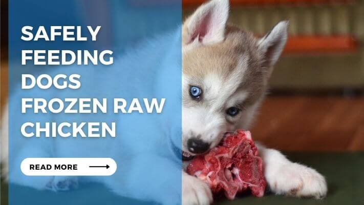 Safely Feeding Dogs Frozen Raw Chicken