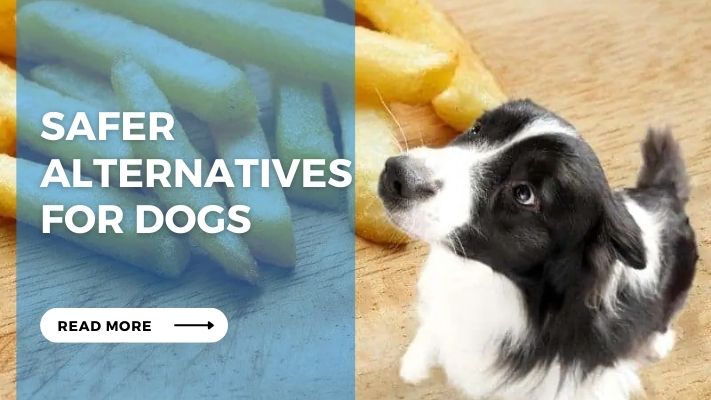 Safer Alternatives for Dogs