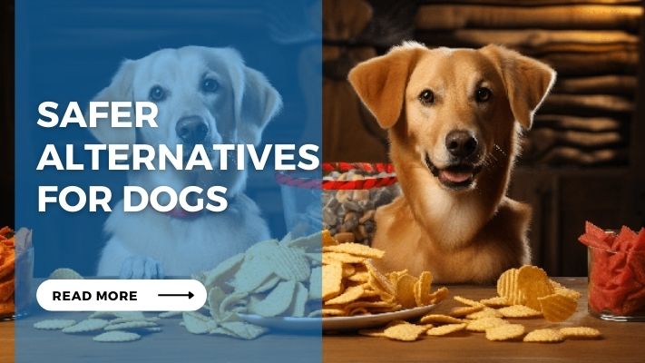 Safer Alternatives for Dogs