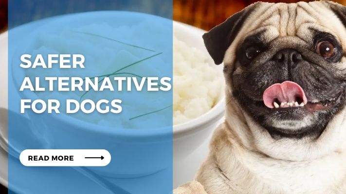 Safer Alternatives  for Dogs