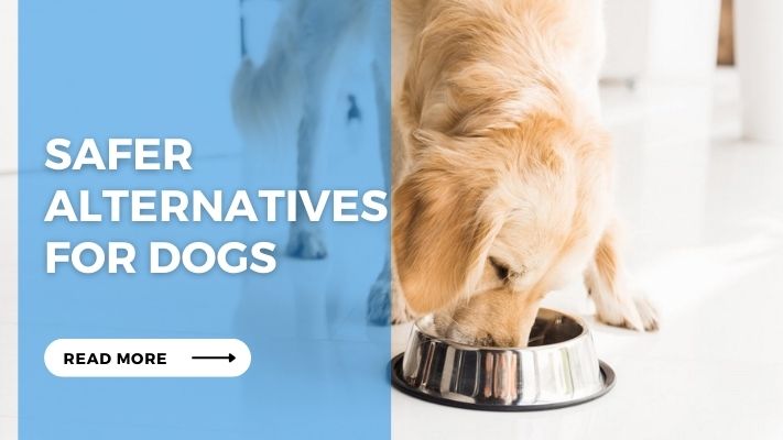 Safer Alternatives for Dogs