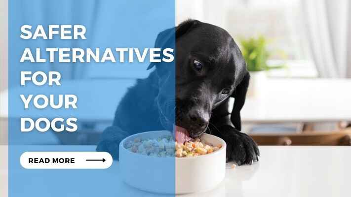 Safer Alternatives for Your Dogs