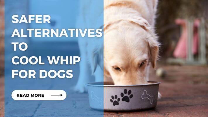 Safer Alternatives to Cool Whip for Dogs